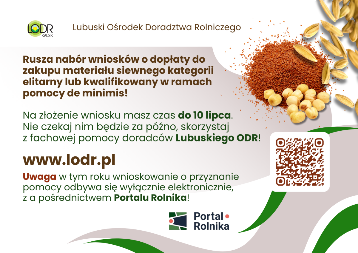 Grafika LODR
