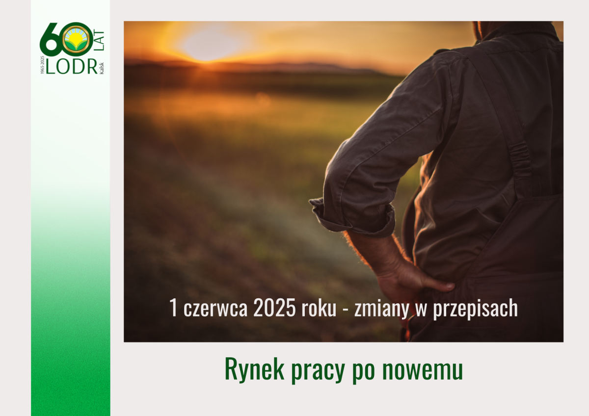 Rynek pracy po nowemu