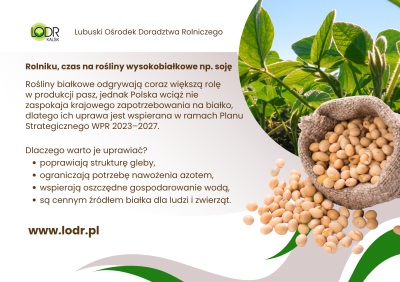 Grafika LODR Kalsk