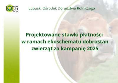 Stawki za ekoschemat Dobrostan zwierząt za 2025 rok