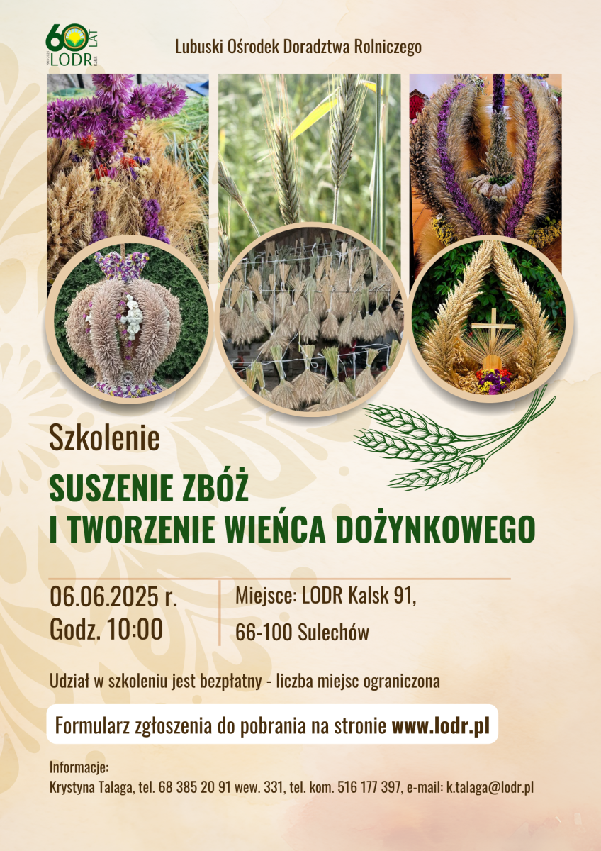 Suszenie zbóż i tworzenie wieńca dożynkowego