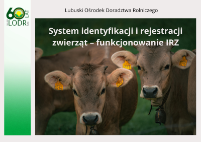 System identyfikacji i rejestracji zwierząt – funkcjonowanie IRZ