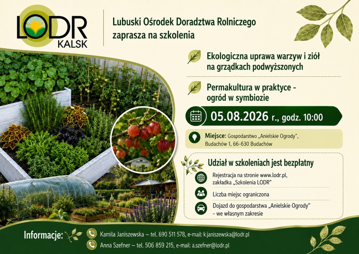 Grafika LODR Kalsk
