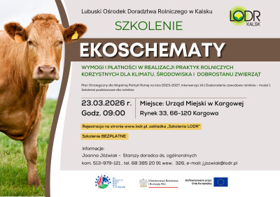 szkolenie - EKOSCHEMATY