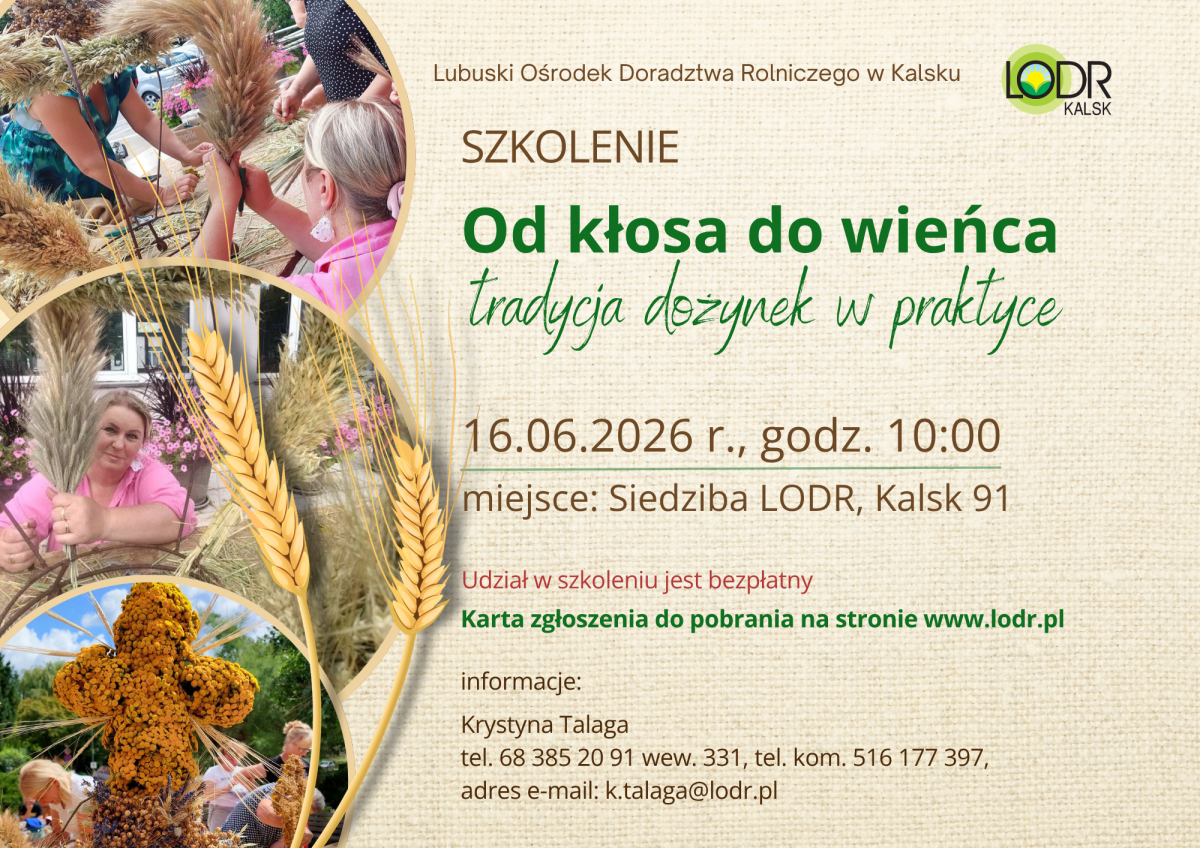 Szkolenie - Od kłosa do wieńca, tradycja dożynek w praktyce