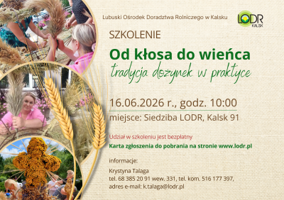 Szkolenie - Od kłosa do wieńca, tradycja dożynek w praktyce