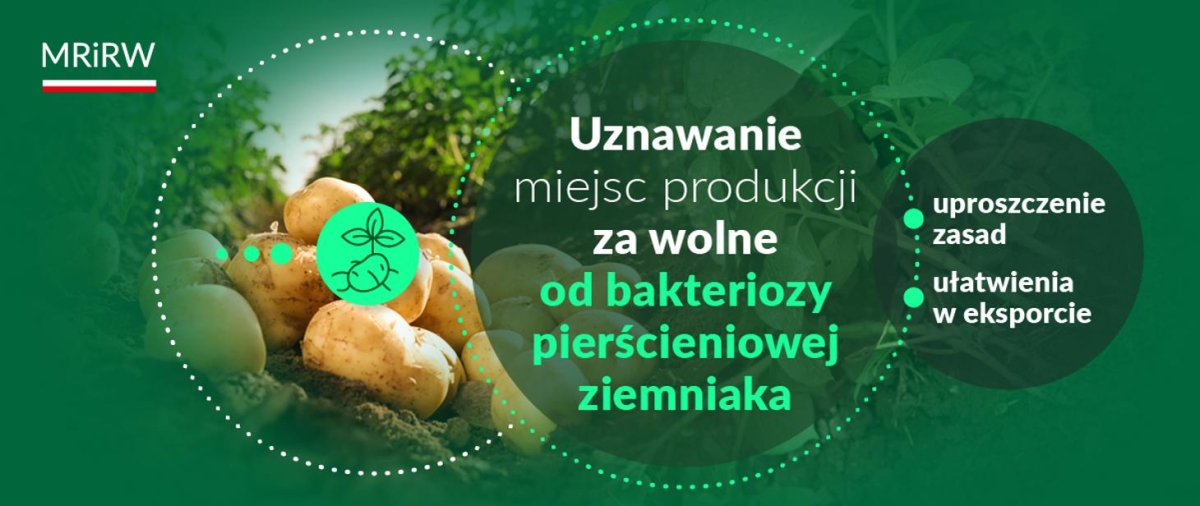Grafika MRIRW