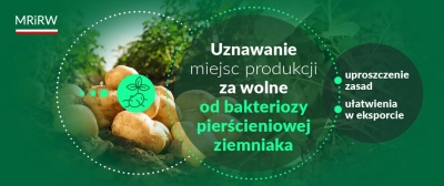 Grafika MRIRW