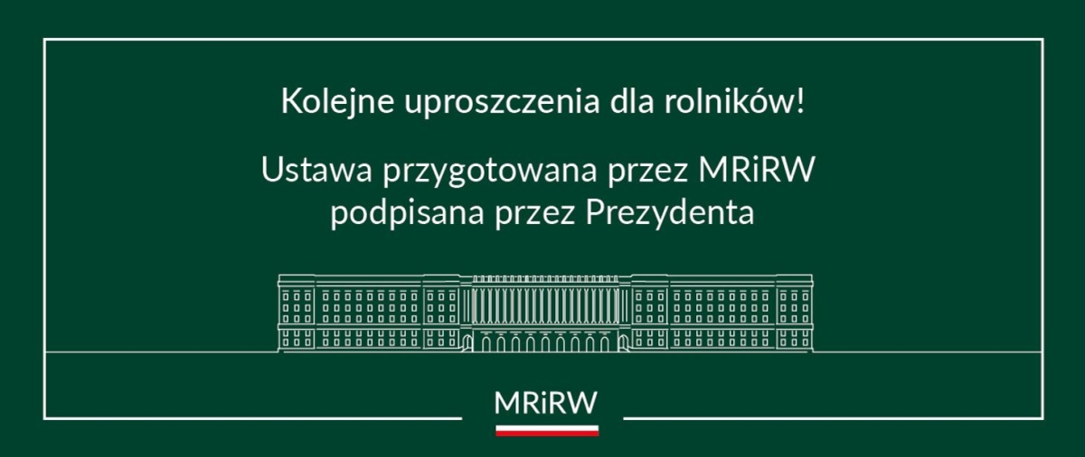 Grafika MRIRW