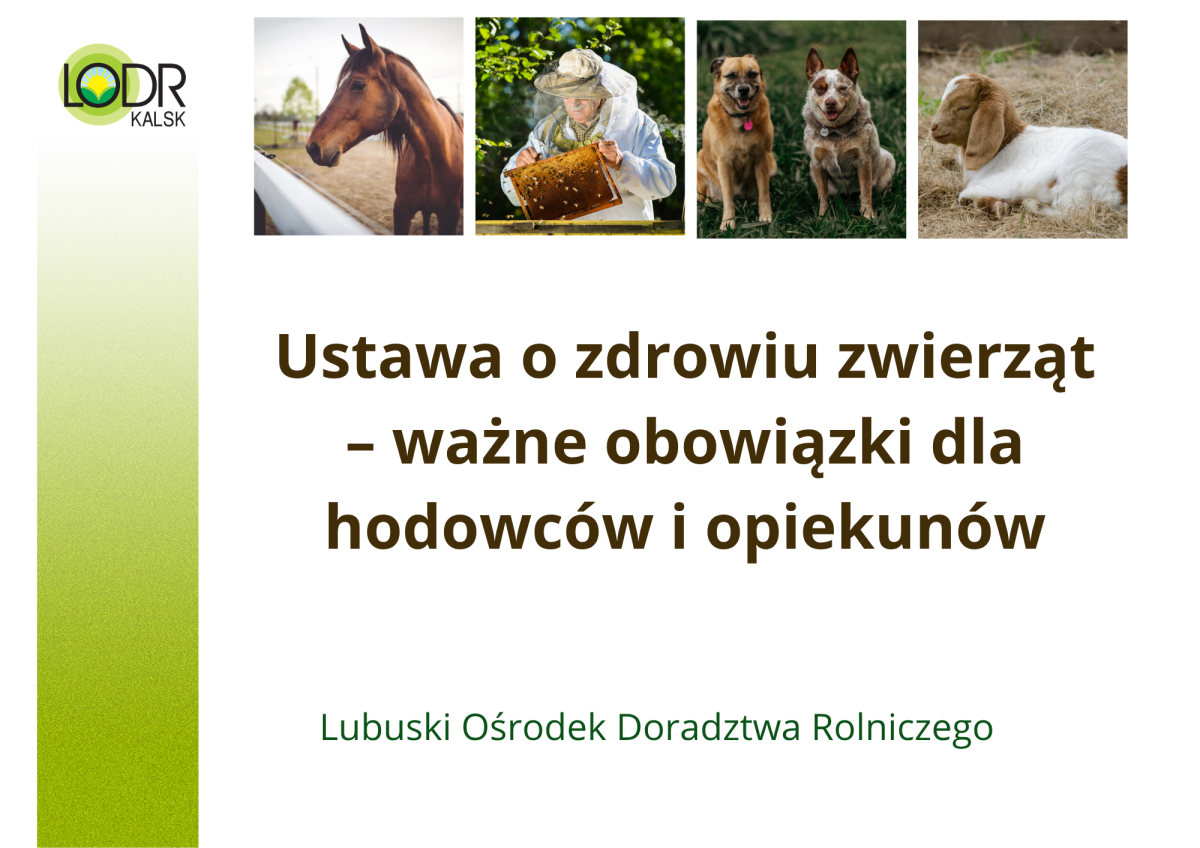 Ustawa o zdrowiu zwierząt – ważne obowiązki dla hodowców i opiekunów