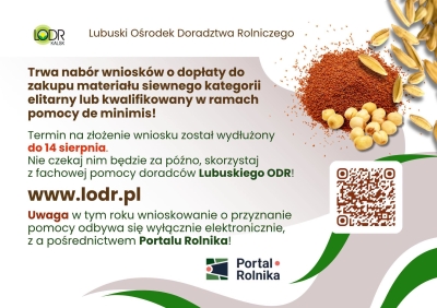 Grafika LODR Kalsk