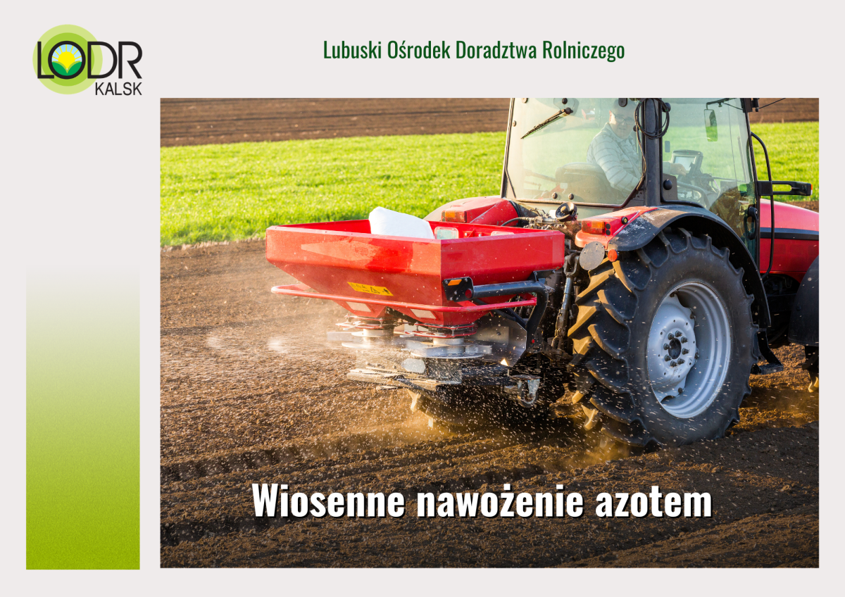 Wiosenne nawożenie azotem