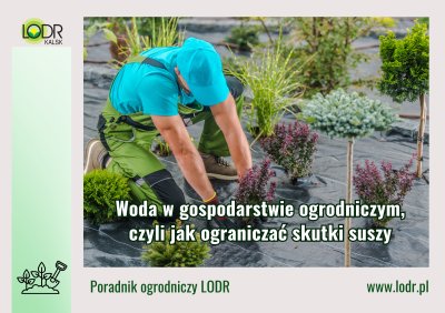 Woda w gospodarstwie ogrodniczym, czyli jak ograniczać skutki suszy