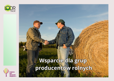 Wsparcie dla grup producentów rolnych