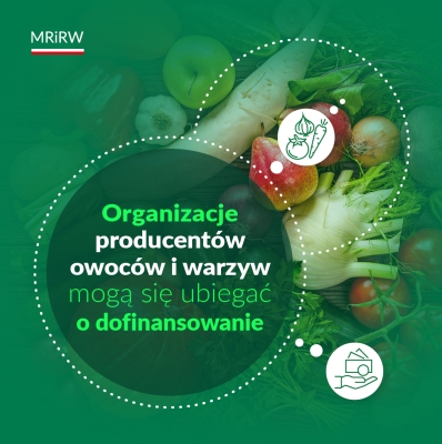 Wsparcie dla producentów owoców i warzyw – rozpoczął się nabór wniosków