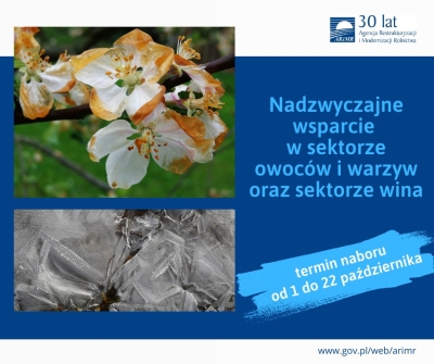 Grafika ARIMR