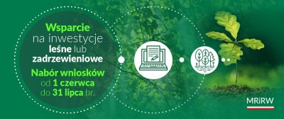 Wsparcie na inwestycje leśne lub zadrzewieniowe - 1 czerwca rusza nabór wniosków