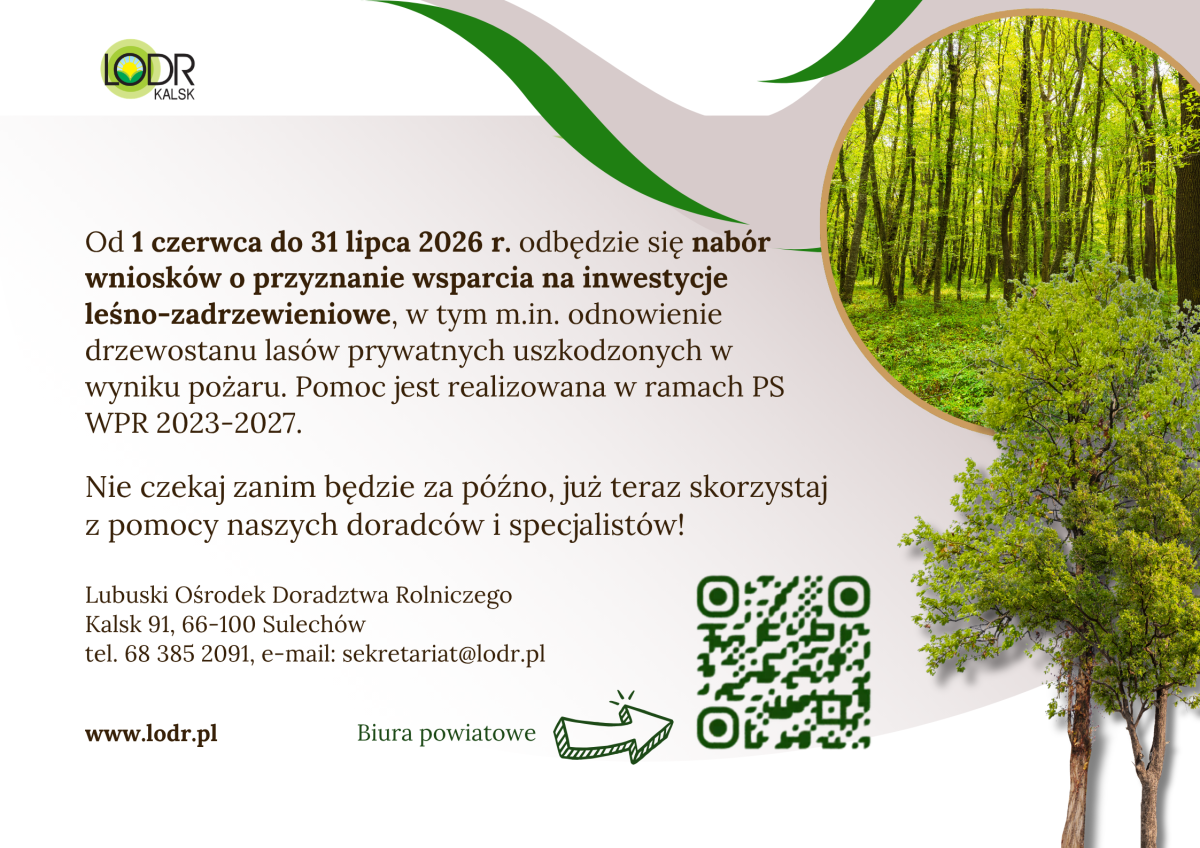 Wsparcie na inwestycje leśne lub zadrzewieniowe