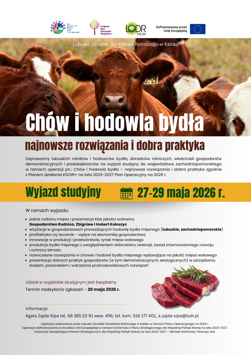Wyjazd studyjny Chów i hodowla bydła - najnowsze rozwiązania i dobra praktyka