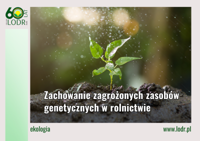 Zachowanie zagrożonych zasobów genetycznych w rolnictwie