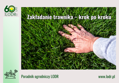 Zakładanie trawnika – krok po kroku