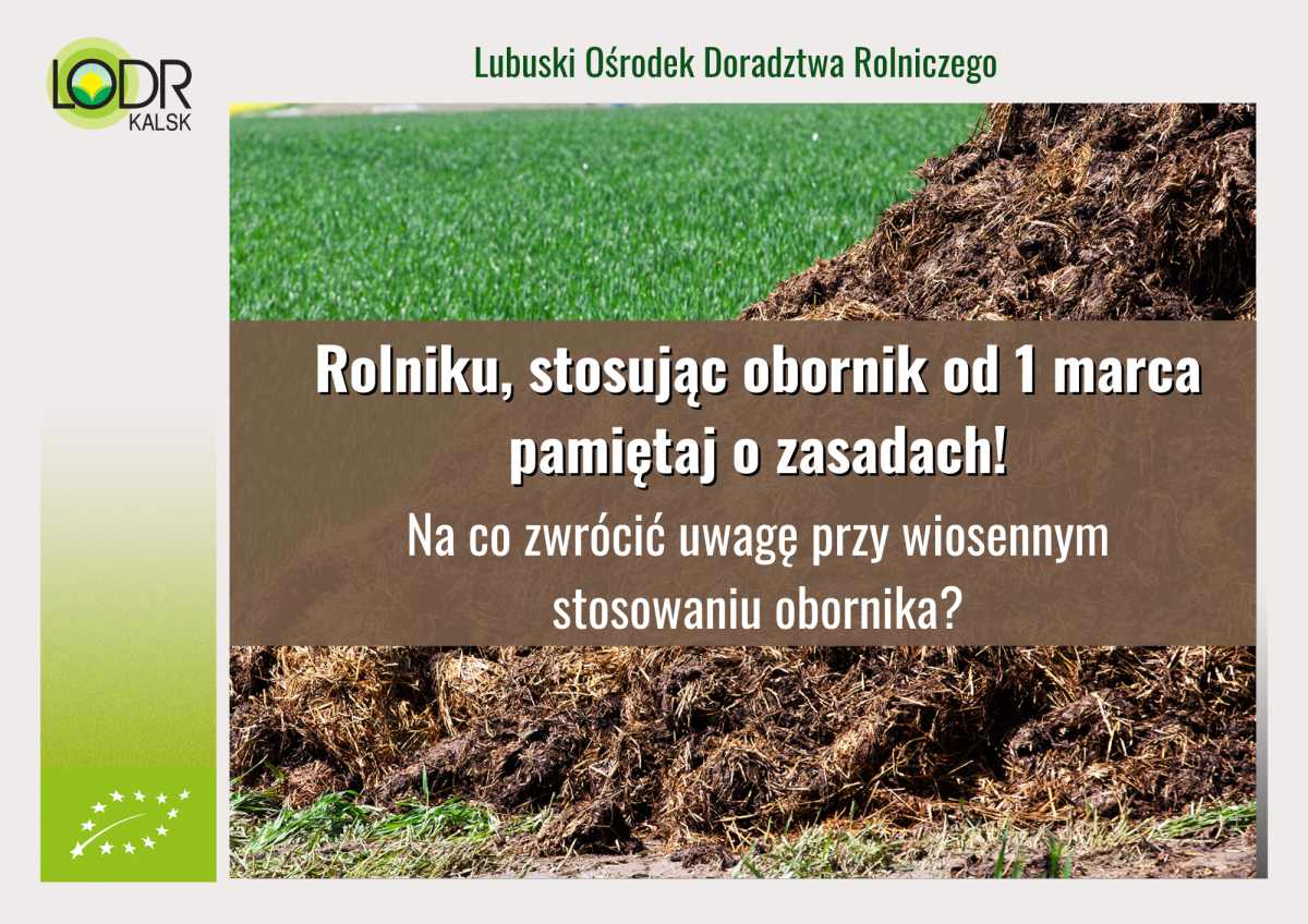Zasady nawożenia obornikiem