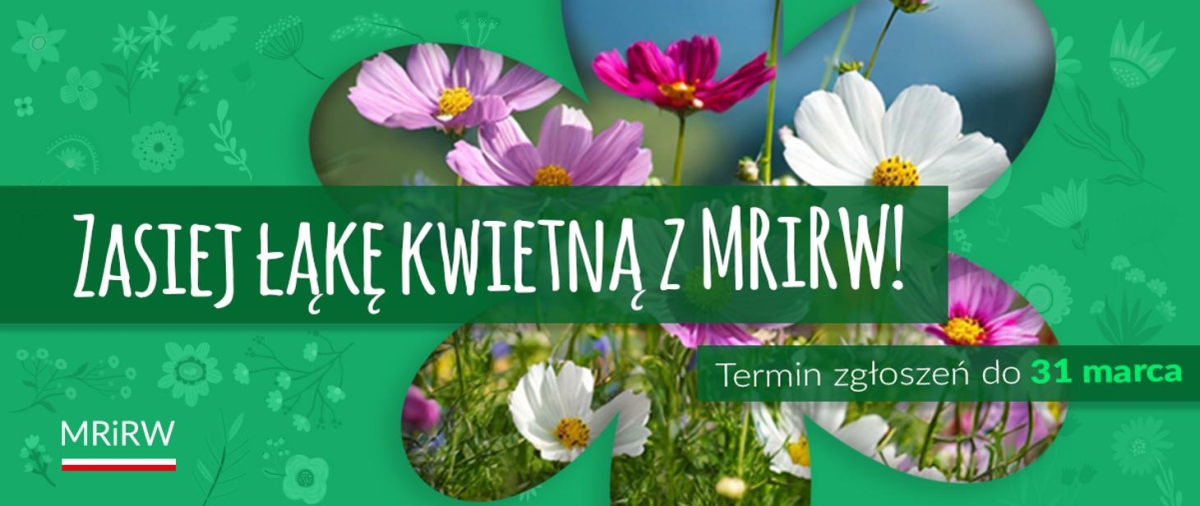 Zasiej łąkę kwietną z MRiRW!