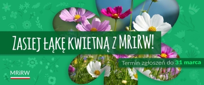 Zasiej łąkę kwietną z MRiRW!