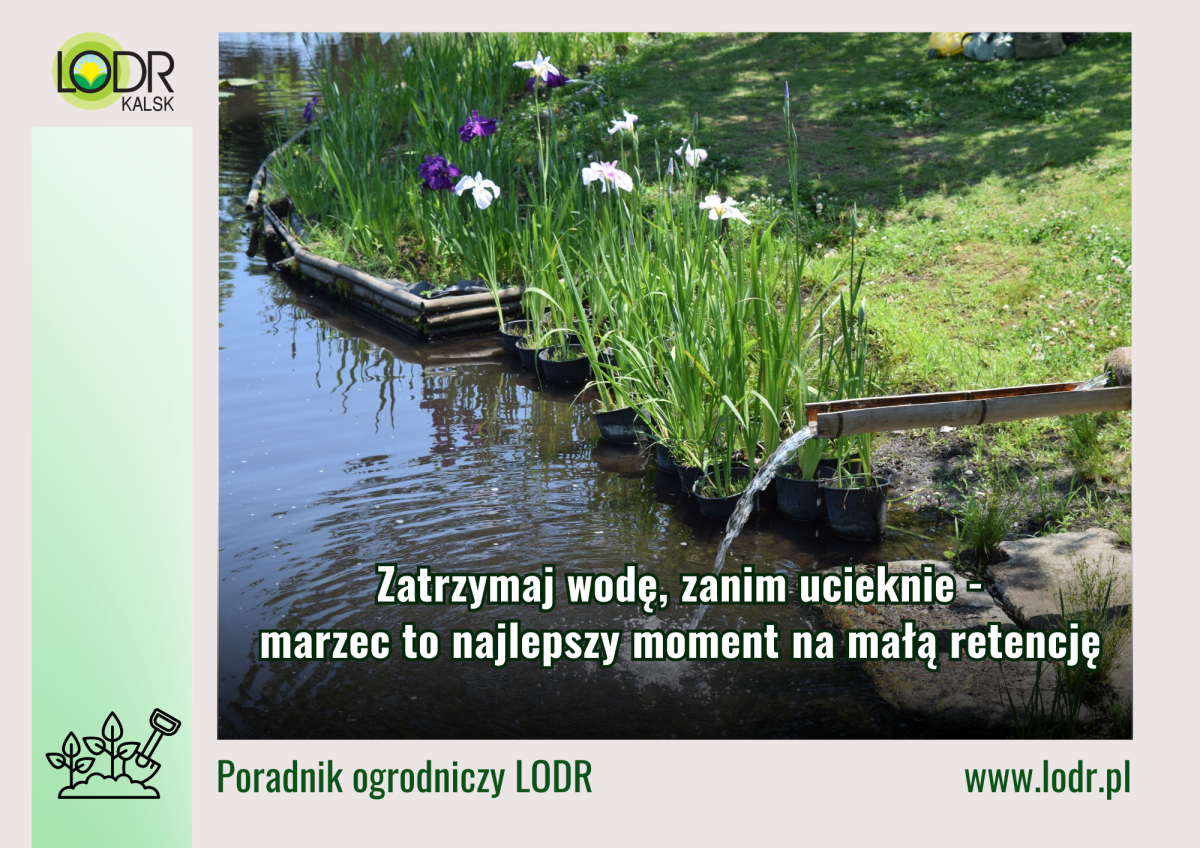 Zatrzymaj wodę, zanim ucieknie - marzec to najlepszy moment na małą retencję.