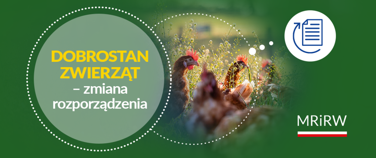 Zmiana rozporządzenia dotyczącego dobrostanu zwierząt – projekt przekazany do konsultacji