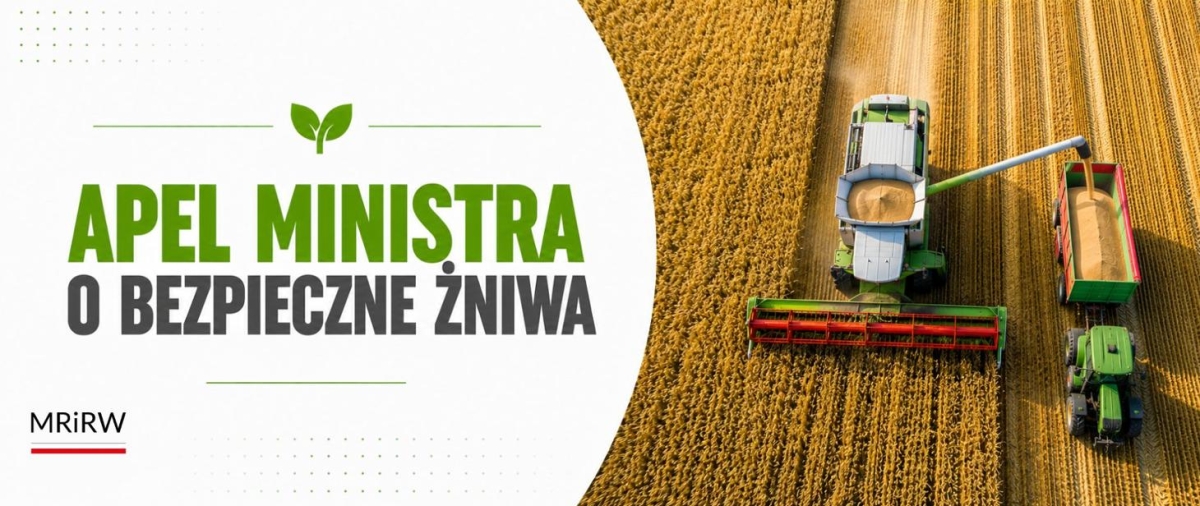 grafika MRIRW