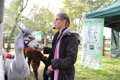 Alpaki nowatorska inicjatywa dla gospodarstw agroturystycznych – Promocja hodowli zwierząt - szkolenie Kalsk