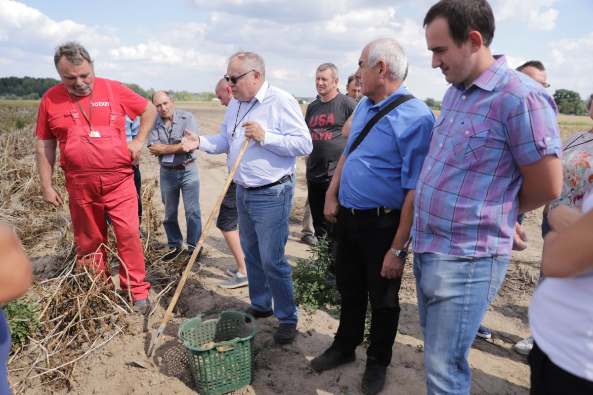 Nowoczesna i bezpieczna produkcja ziemniaka w województwie lubuskim