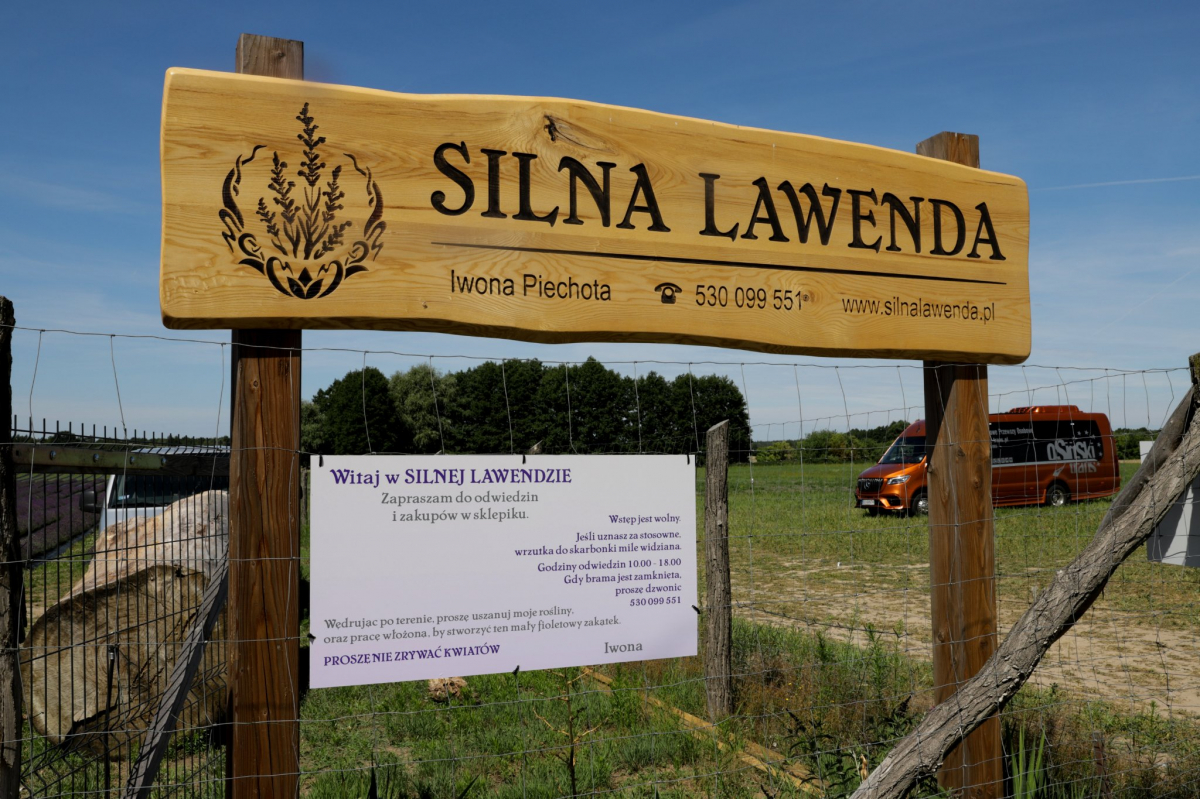 Warsztaty bartniczo-lawendowe w Silnej Lawendzie w m. Silna